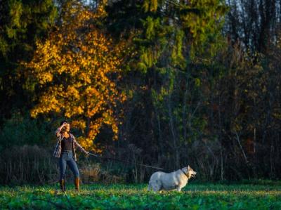 Girl Walking with Husky – Free Download