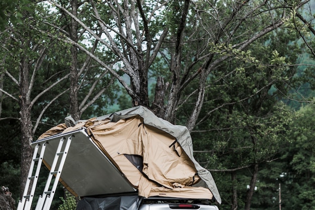 Tent on Camper Van Hood in the Forest – Free Stock Photo, Download for Free