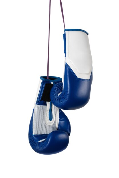 Boxing Gloves Isolated – Download Free Stock Photo