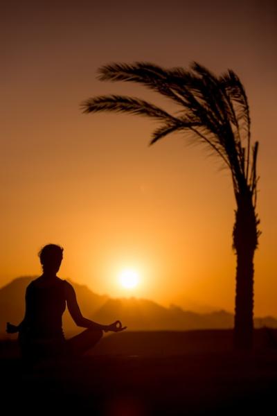 Yoga Training in Tropical Location – Free Download