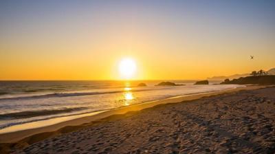 Nature Background at Sunset and Sunrise – Perfect for Posters and Videos | Free Download