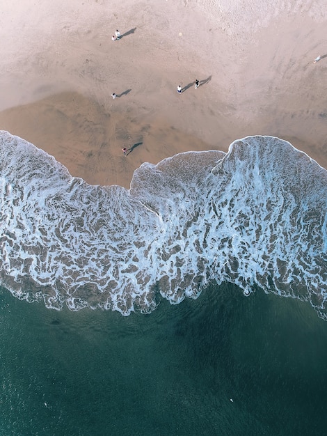 Santa Cruz Beach – Download Free Stock Photo