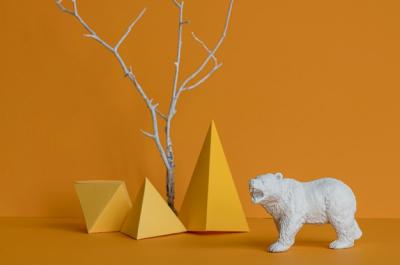Animals Arrangement in Front View – Free Download