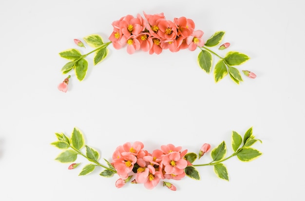 Floral Garland – Free Download, Download Free Stock Photo