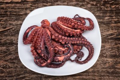Red Boiled Octopus Plate on Textured Table – Free Stock Photo Download