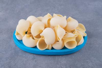 Pile of Conchiglie Pasta on Blue Plate – Free Stock Photo for Download