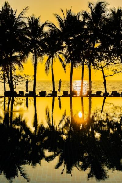 Stunning Silhouette of Coconut Palm Trees by the Swimming Pool with Ocean View – Free Download