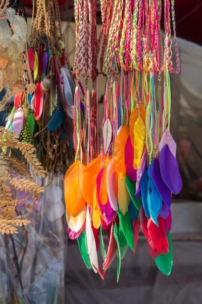 Beautiful Bird Feathers for Decorative Purposes – Free Stock Photos to Download