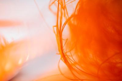 Abstract Waving Orange Fibers – Download Free Stock Photo