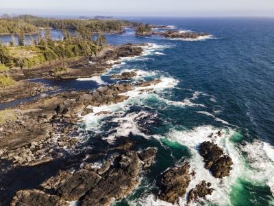 Serene Sea View Surrounded by Forest and Rocky Stones – Free Download