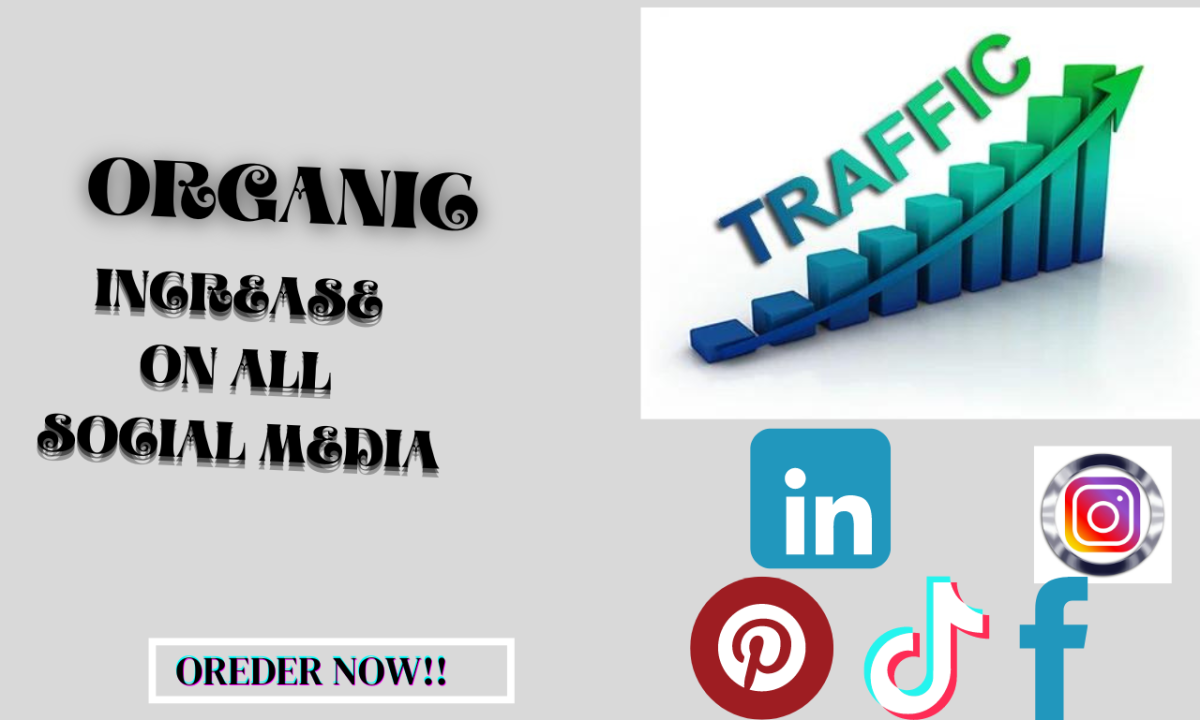 I Will Increase Your Social Media Followers Organically