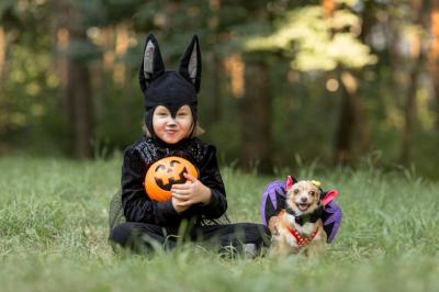 Little Boy in Bat Costume with Dog – Free Stock Photo, Download Free