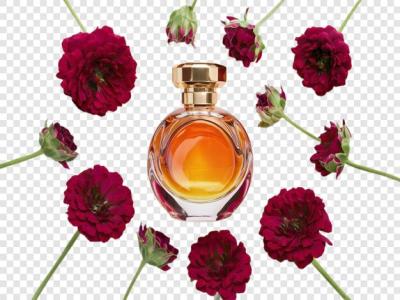 Beautiful Perfume Bottle Isolated on Transparent Background – Free Stock Photo for Download