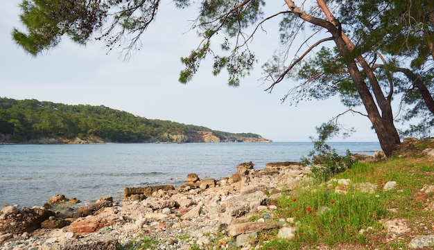 Stunning Panoramic View of Turkey’s Seacoast – Free Download