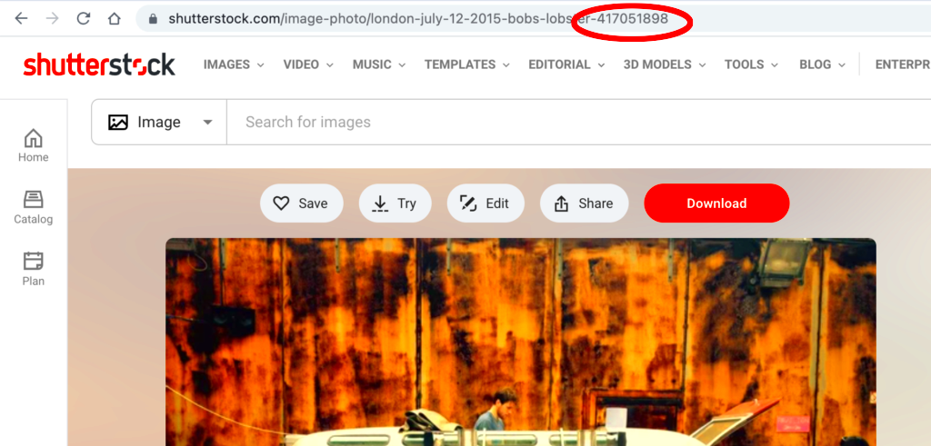 HOW TO LOCATE THE ID NUMBER OF A SHUTTERSTOCK IMAGE Heather Shimmin 