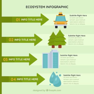 Ecosystem Infographic Concept – Free Download, Free Stock Photo