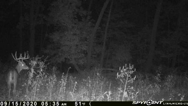 Hunting Trail Cameras in Iowa Iowa Deer Hunting Leases