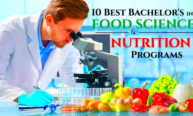 These are the topranked Food Science and Nutrition programs Food 