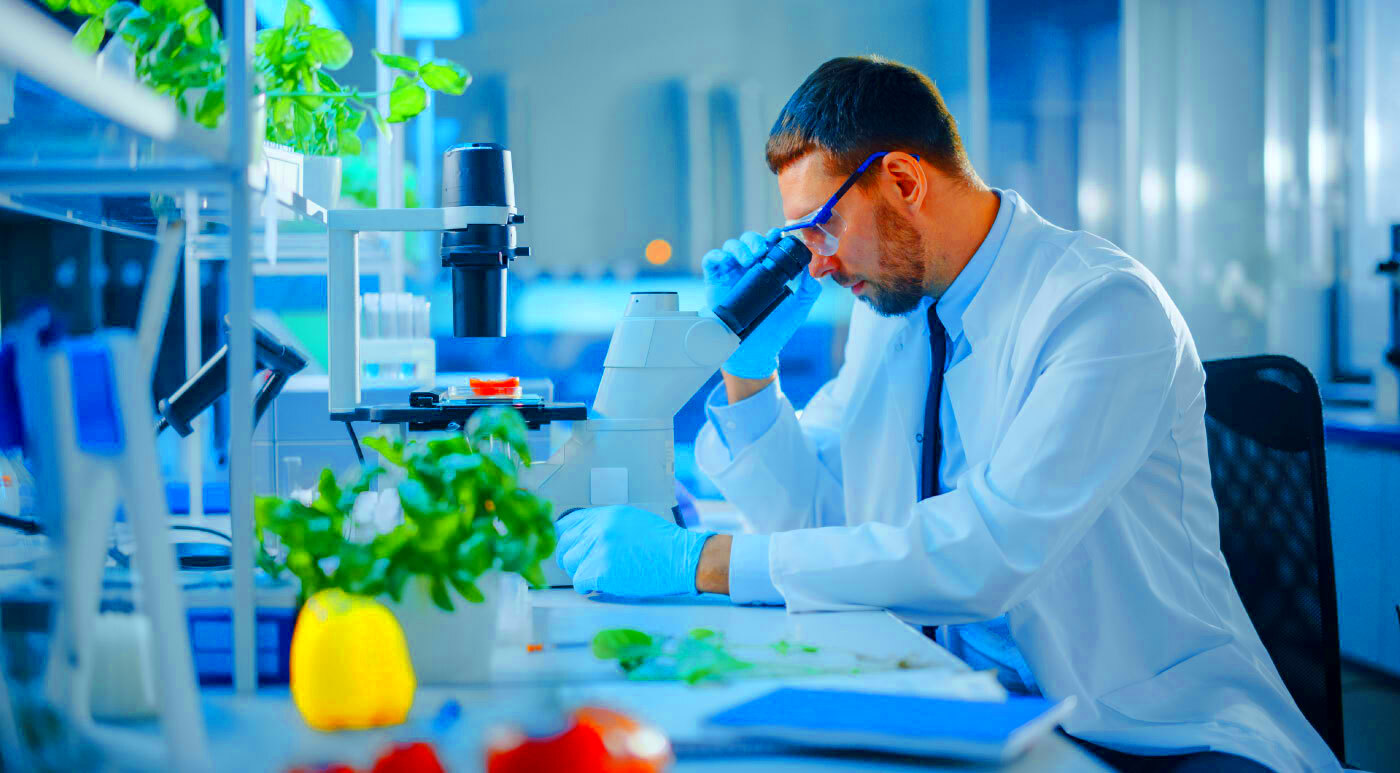 15 Best Affordable Masters in Food Science and Technology Masters 