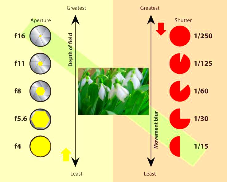 aperture vs shutter speed Aperture and shutter speed Shutter speed 