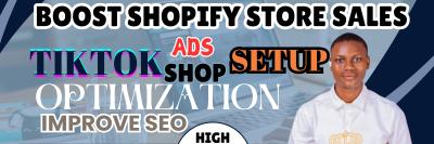 I WILL BOOST YOUR SHOPIFY SALES WITH TIKTOK ADS & SEO STRATEGIES