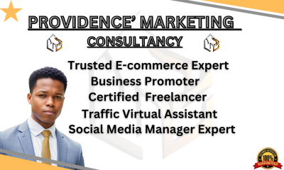 I will be your professional virtual sales traffic assistant