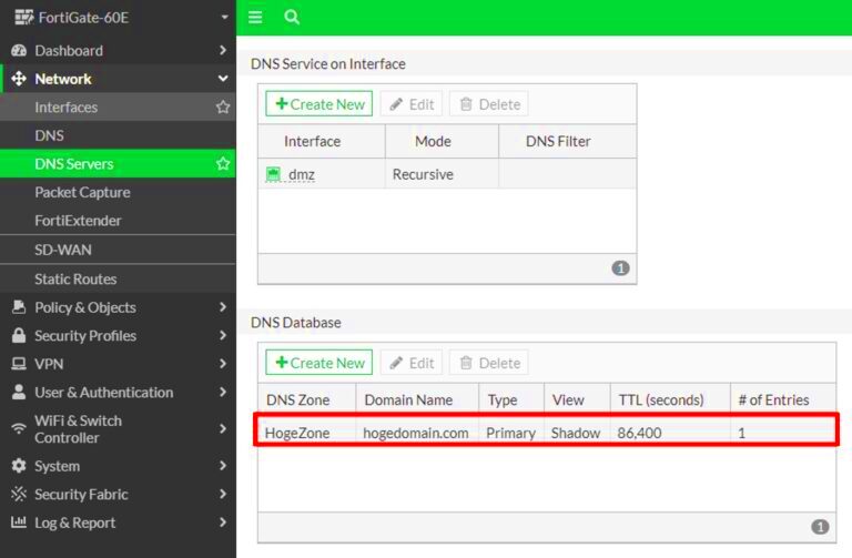 FortiGate How to configure DNS ClientServer Network Strategy Guide