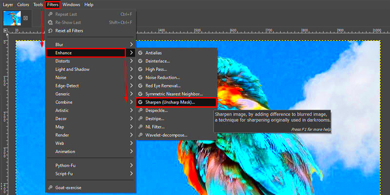 Conprehensive Guide 2 Ways on How to Sharpen An Image in GIMP