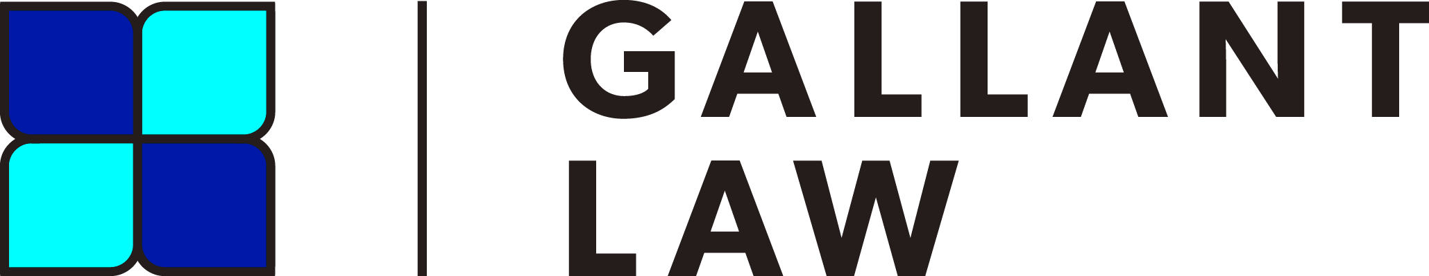 Gallant Law About