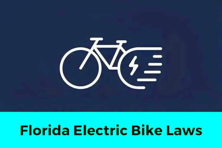 Florida Electric Bike Laws Everything You Need to Know EbikeObserver