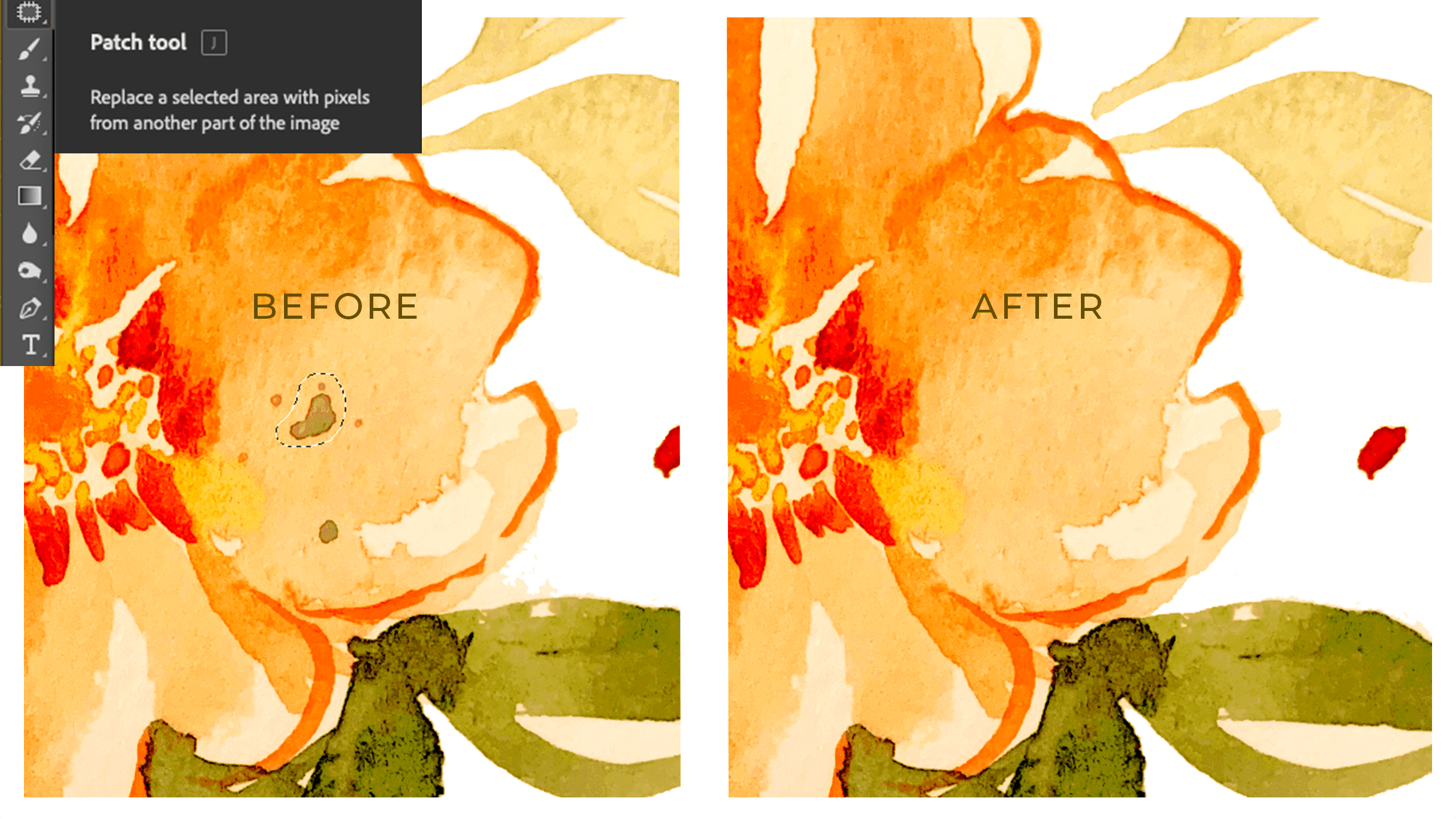 How to Digitize Artwork My 5 Step Process to Digitize Artwork in 