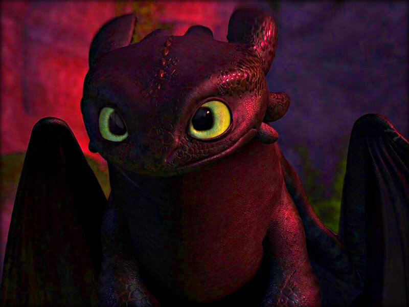 Toothless   How to Train Your Dragon Wallpaper 32987241  Fanpop