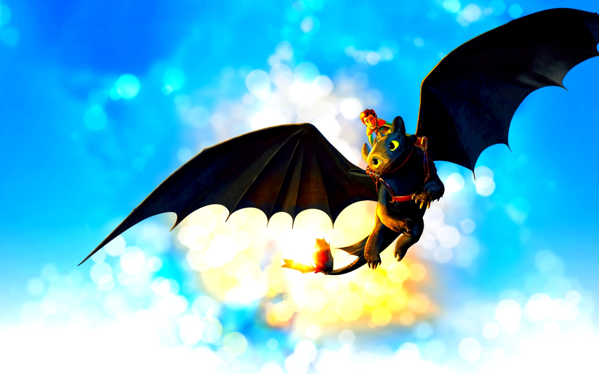 Toothless  How to Train Your Dragon Fan Art 13804265  Fanpop