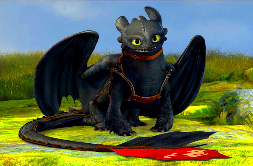 Toothless New Image  How to Train Your Dragon Photo 37177564  Fanpop