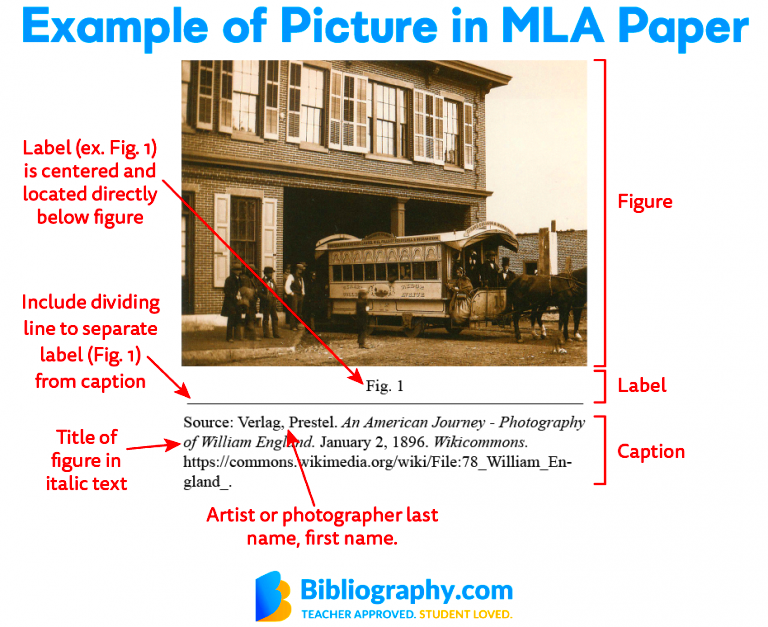 How to Cite a Picture in MLA  Bibliographycom