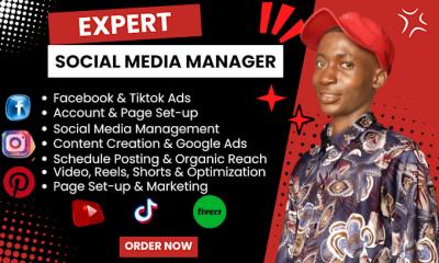 I Will Manage Your Social Media: IG Ads, Facebook Marketing, TikTok Posts & Shop