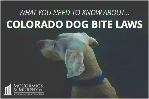 Dog Bite Laws in Colorado