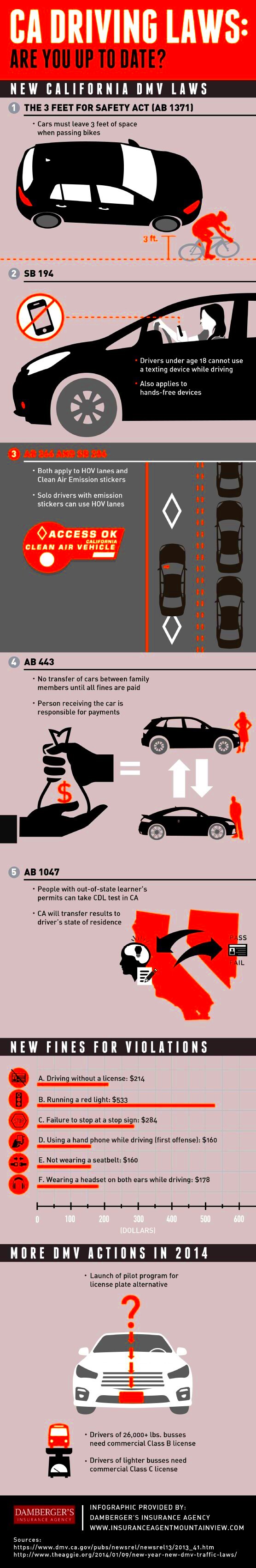 California Driving Laws Infographic Infographics