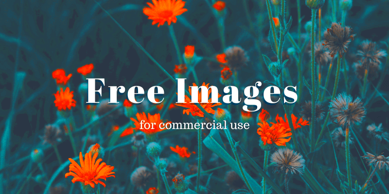 Where to Get Free Images for Commercial Use 11 Sites