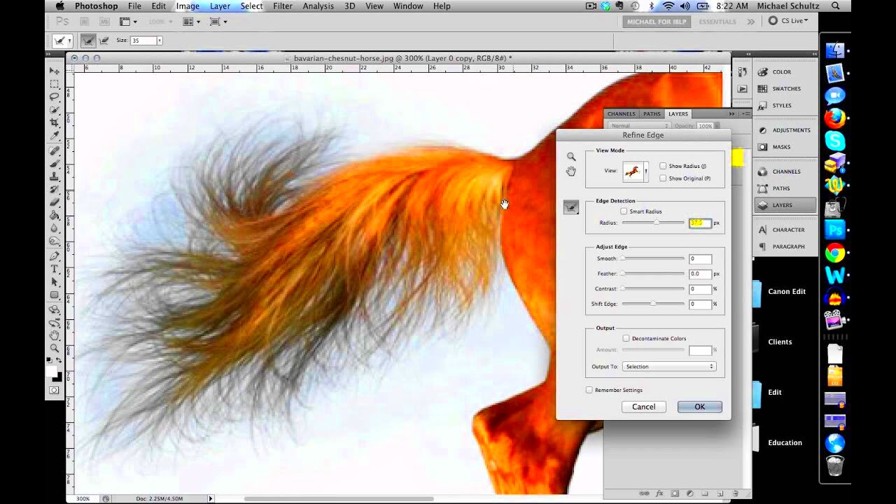 How to Quickly Select Images  Cut Out Detailed Images in Photoshop CS5 