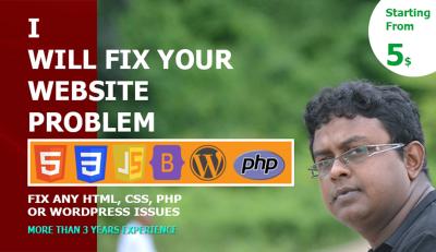 I Will Quickly Resolve WordPress Issues, Problems, or Errors