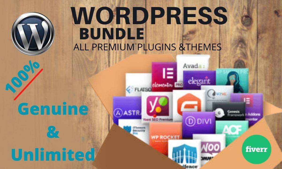 I will install any premium wordpress theme or plugin in 9h