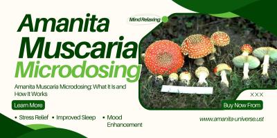 Amanita Muscaria Microdosing: What It Is and How It Works