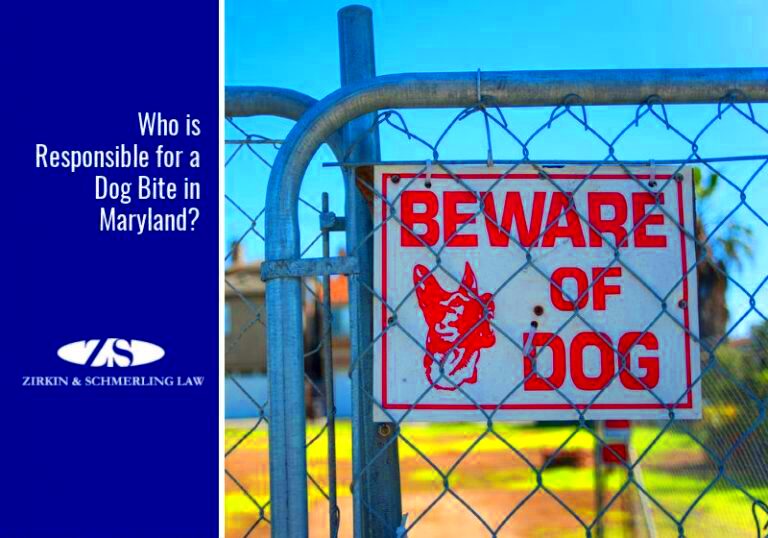 Maryland dog bite laws Who is responsible