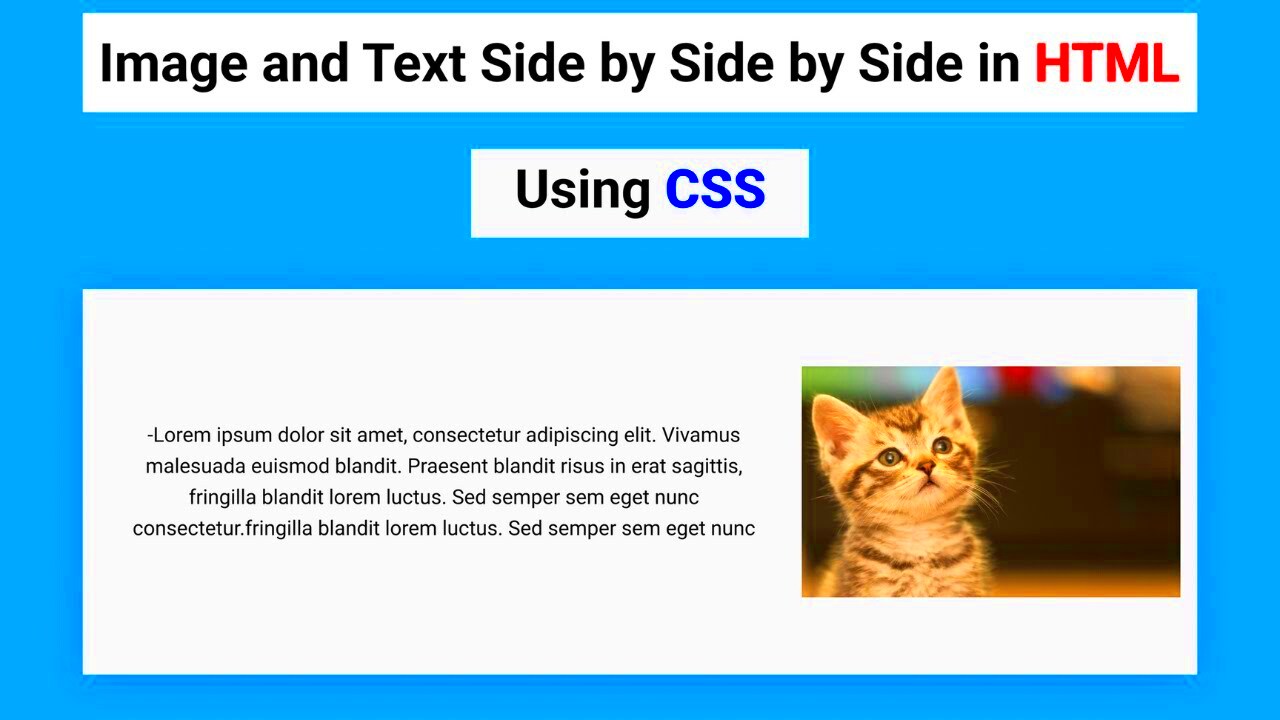 How to Align Image  Text Side by Side in HTML using CSS  YouTube