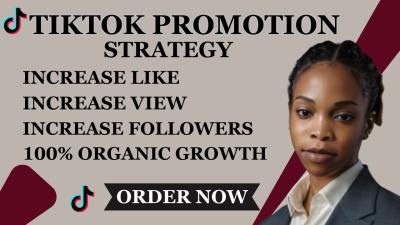 I Will Do Organic TikTok Followers Promote TikTok Growth