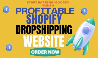 I Will Build a Successful Shopify Clothing Dropshipping Store or Website