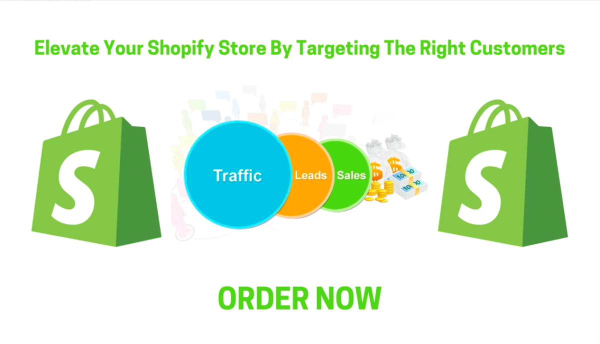 I Will Boost Your Ecommerce Shopify Sales by Targeting the Right Customers and Increasing Traffic