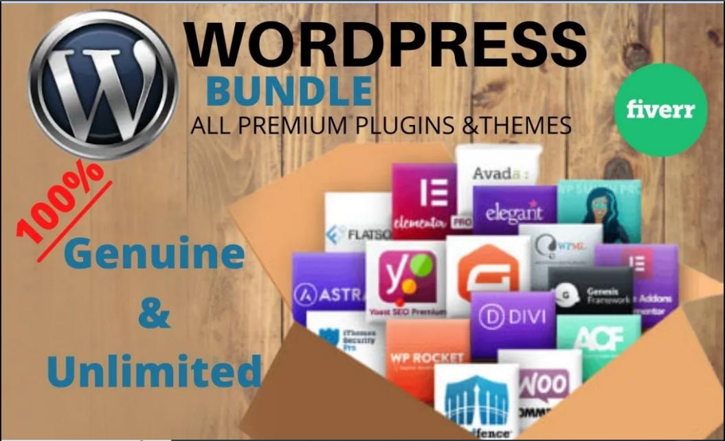 I Will Install Any Premium WordPress Theme or Plugin in 9 Hours