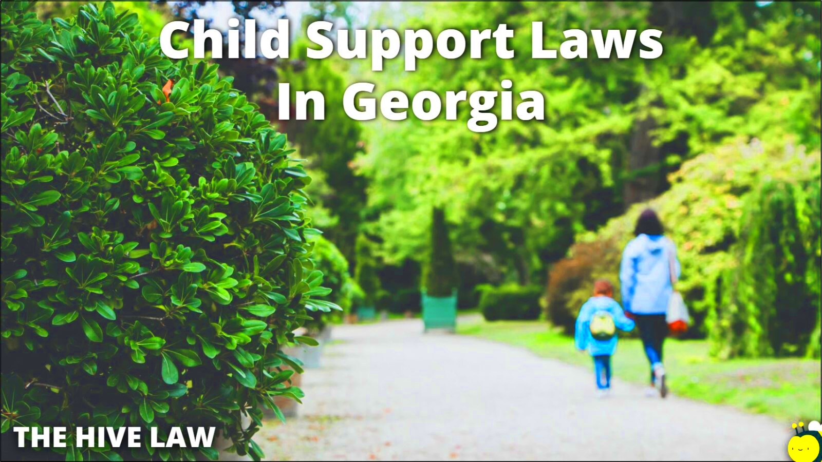 Child Support Laws Georgia The Hive Law